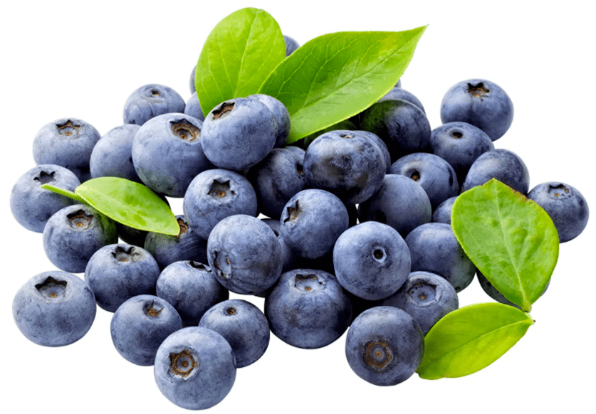 blueberries in Clean Vision